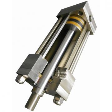 20ton 100 mm Vérin hydraulique avec écrou de sécurité  Cilindro hidráulico