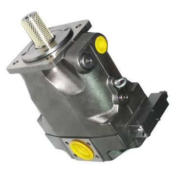 PARKER Hydraulique Double pompe à engrenages - 3339521057 s'adapte à M-Trak Perforateur