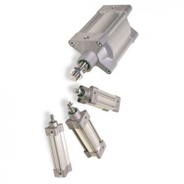 PARKER Light Duty cylindre hydraulique 1" Alésage 125 mm AVC CH 3 LGCS 24MC-M1100
