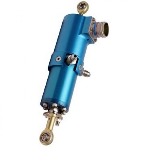 Hydraulic Double Acting Cylinder/RAM/Actuator 100 mm Diamètre x 50 mm Rod #1 image
