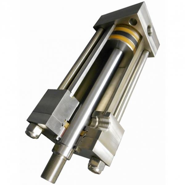 20ton 100 mm Vérin hydraulique avec écrou de sécurité  Cilindro hidráulico #1 image