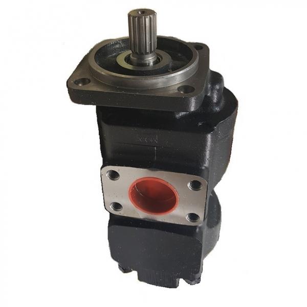 Genuine PARKER/JCB 3CX double pompe hydraulique 20/925338 33 + 23cc/rev MADE in EU #1 image