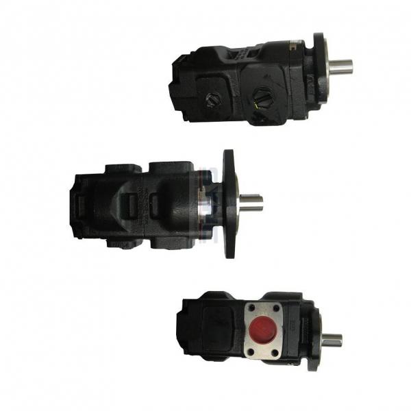Genuine PARKER/JCB 3CX double pompe hydraulique 332/F9028 33 + 23cc/rev MADE in EU #1 image