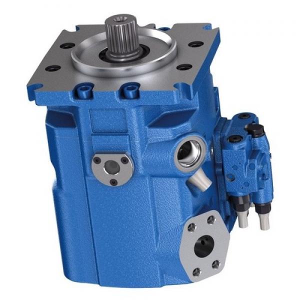 Toyo-Oki HPP-VD2V-F31A3-B Variable Displacement Piston Pump FNFP #1 image