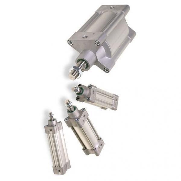 PARKER Light Duty cylindre hydraulique 1" Alésage 125 mm AVC CH 3 LGCS 24MC-M1100 #2 image
