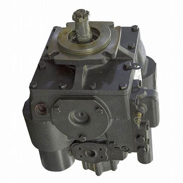 Johnson Evinrude 200-225-250 Cylindre Bloc Reconstruit Carter 439765 Fitch RAM #3 image